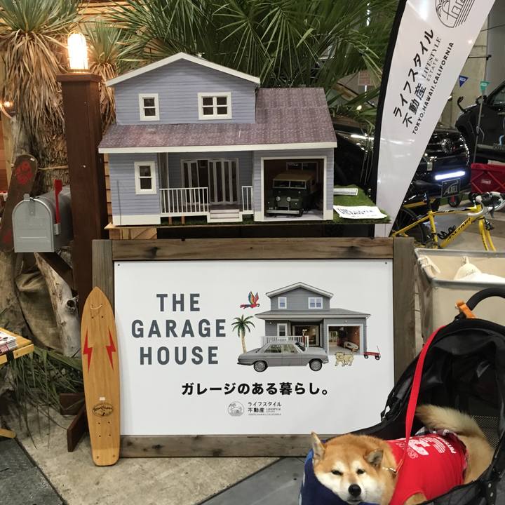 8120212b 24ff 4ad6 bf84 01b0af8bb813 1569058922044