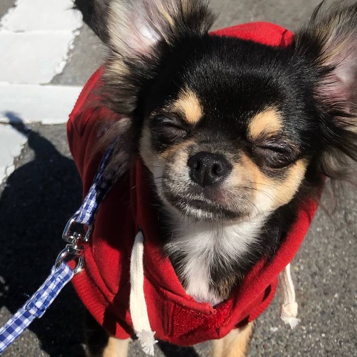 8120512e 3bf0 4033 8252 b97d5fa583fc 1542248459807