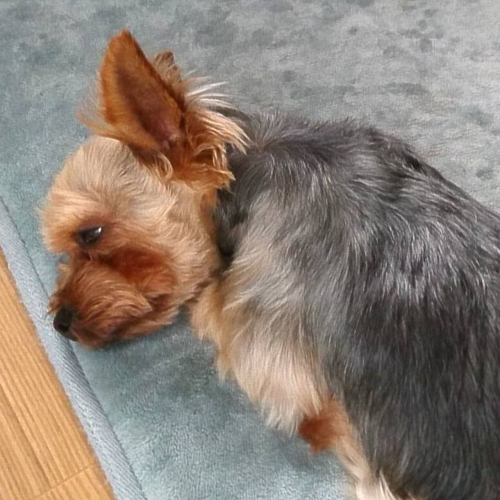 81206b3d fcbb 4531 a8be 9a51e3145dbd 1529928023952