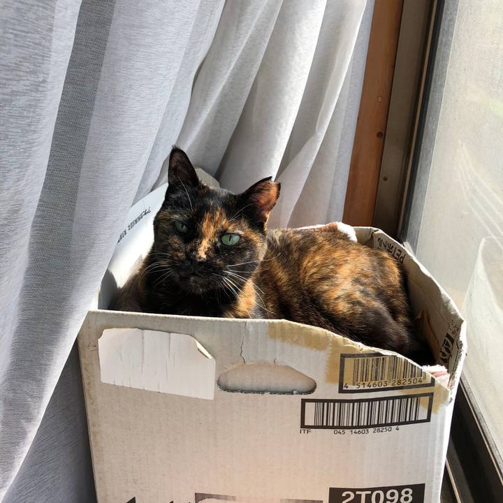 81206b44 47e8 49a1 8479 0c7e4a723d9b 1650605930074