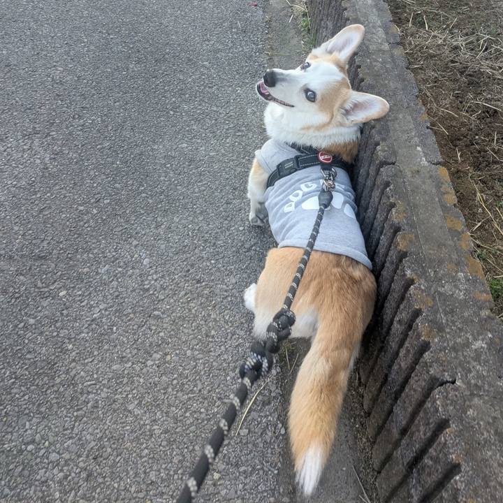 8120714e 3641 4bc5 aa9f 59ef0858326a 1768266147681