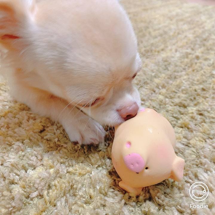 8120bb07 b098 431d b0ab a08784f5472e 1602904480886