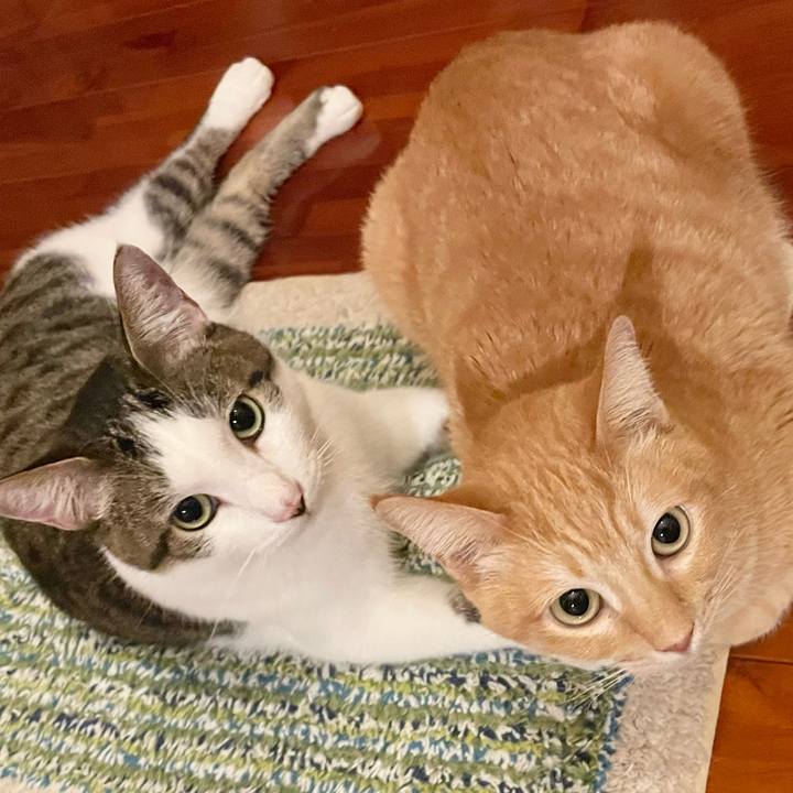 81214beb 1c4b 4740 ae77 a8dbc85ffce3 1771764248670