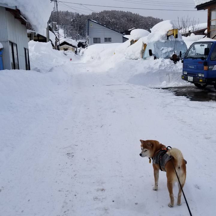 81216685 bc01 43db 91aa fd1f9c36f0ba 1644225089496