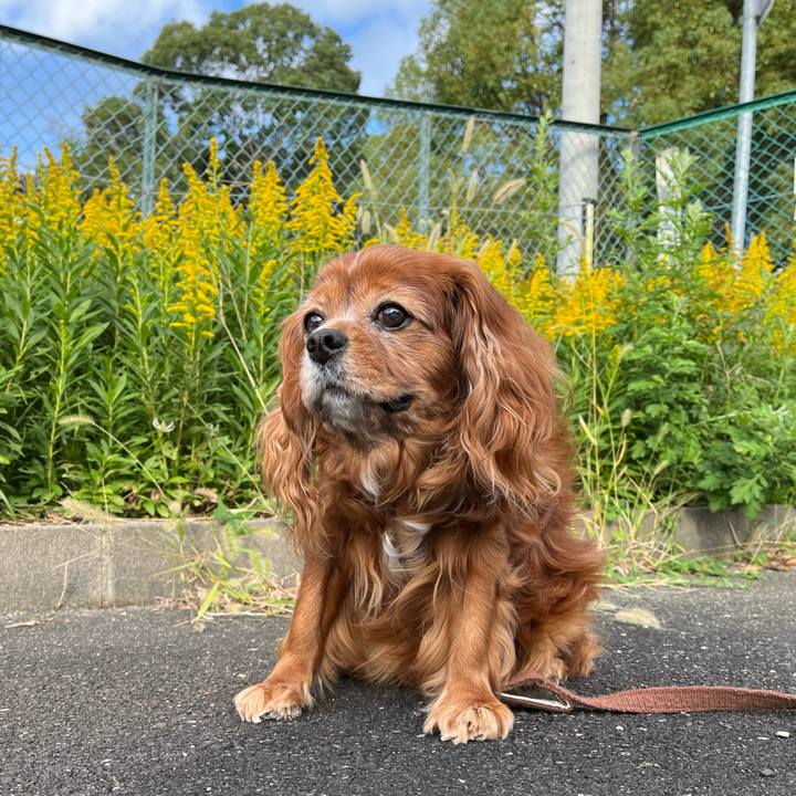 81216e62 a6ea 4724 960e b6bcdfb852c2 1730679734534