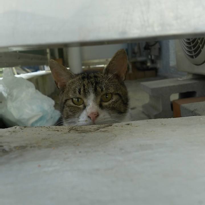 81218d09 61b5 4513 b8ab 022ac2116d60 1532088920904