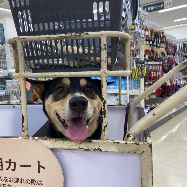 81219576 290f 40dc 8c1b c3e5a180c4c6 1679794066816