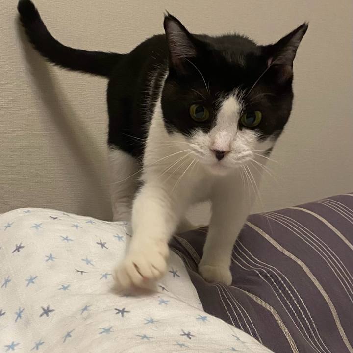 81219ace 2a67 484c 9528 edaf483c87a5 1721653992118