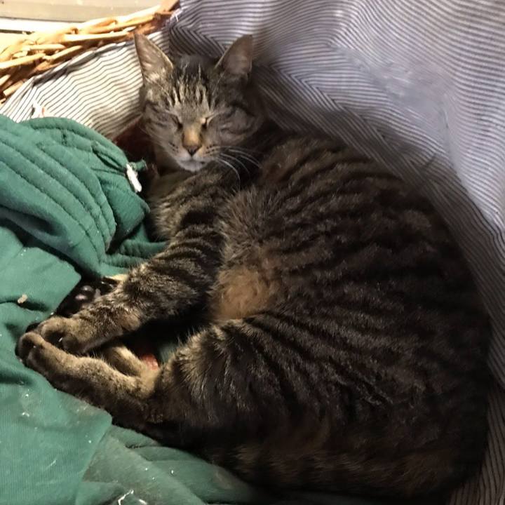 8121ed8a 7fb7 4c69 aa7a be0bb355c8e0 1648028195433