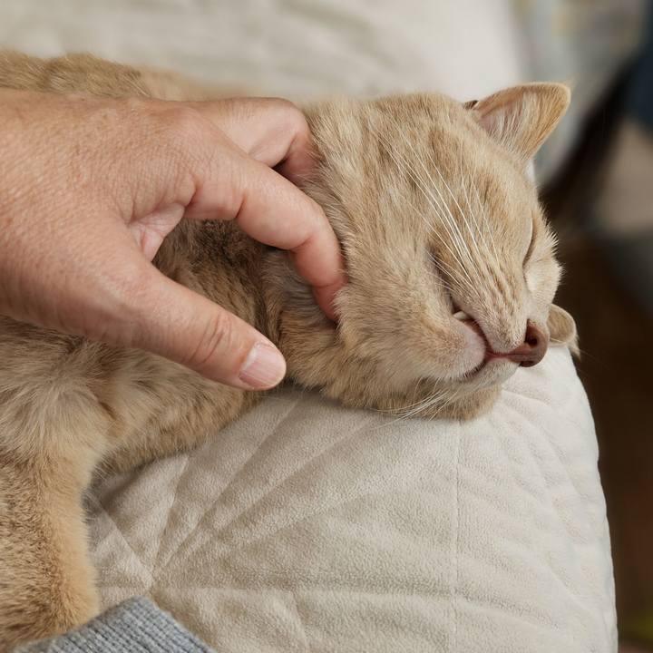 8121f693 72f9 4581 8f52 bc43f895aca2 1725764846324