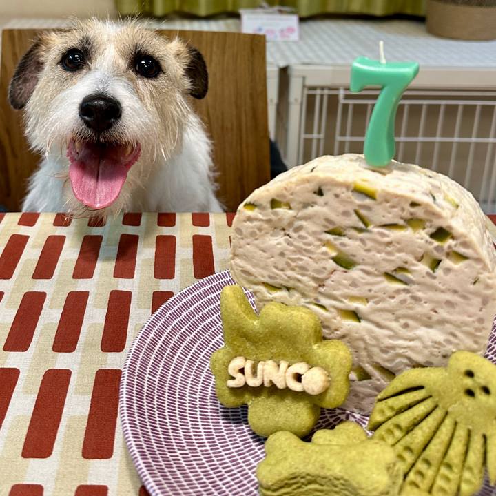 81222ab6 a272 4d08 8dcd bac92a212a68 1772538386261