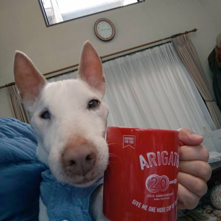 81223cd3 c5cc 40a9 a64e 29047bad1259 1586305275524