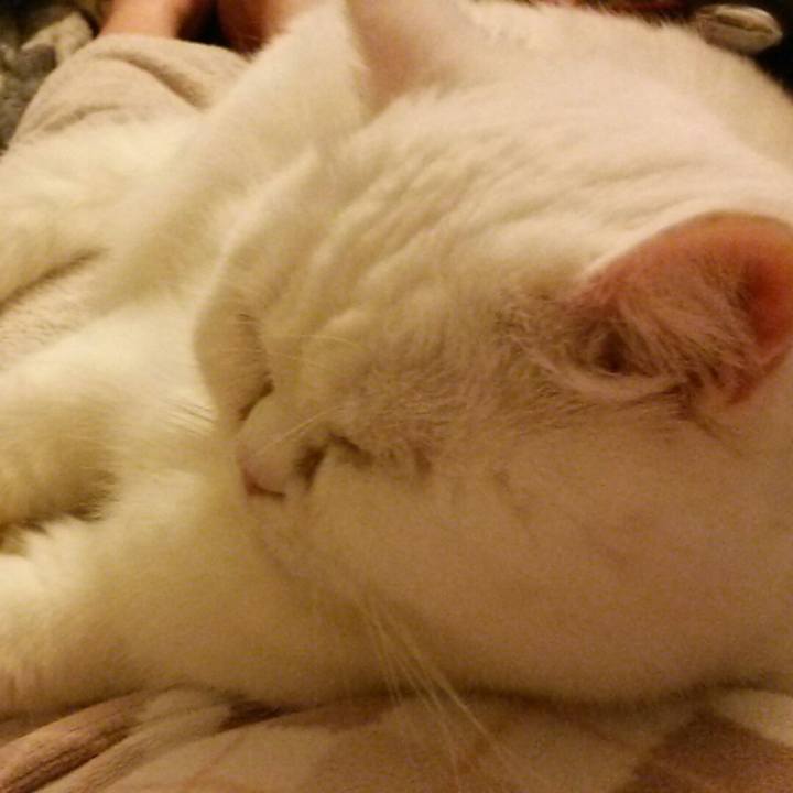 81229f8f 0503 4754 9d48 e901aedc852b 1520940388841