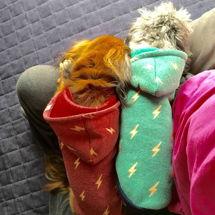 812338ee d26e 45c3 b8a8 2b202b42392b 1702380169120