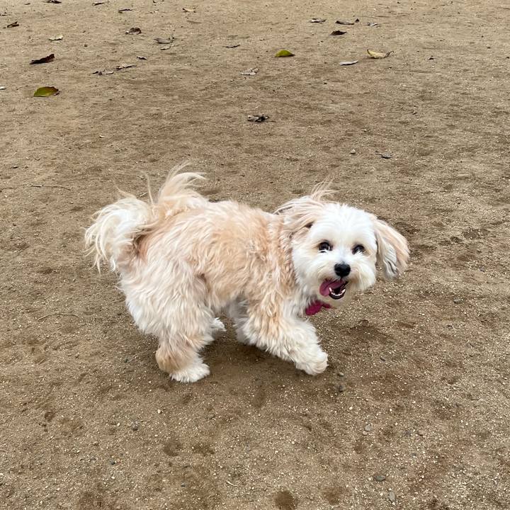 812342f4 7b29 4245 b2b4 6b23907bfd7a 1760325730991