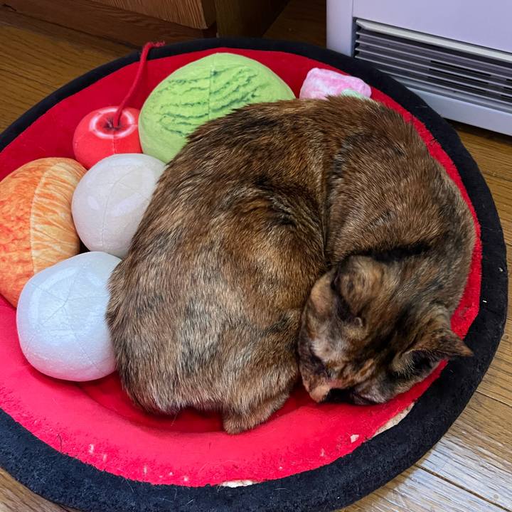 81236400 bfbf 4040 bf55 3e655ce97439 1762832002950