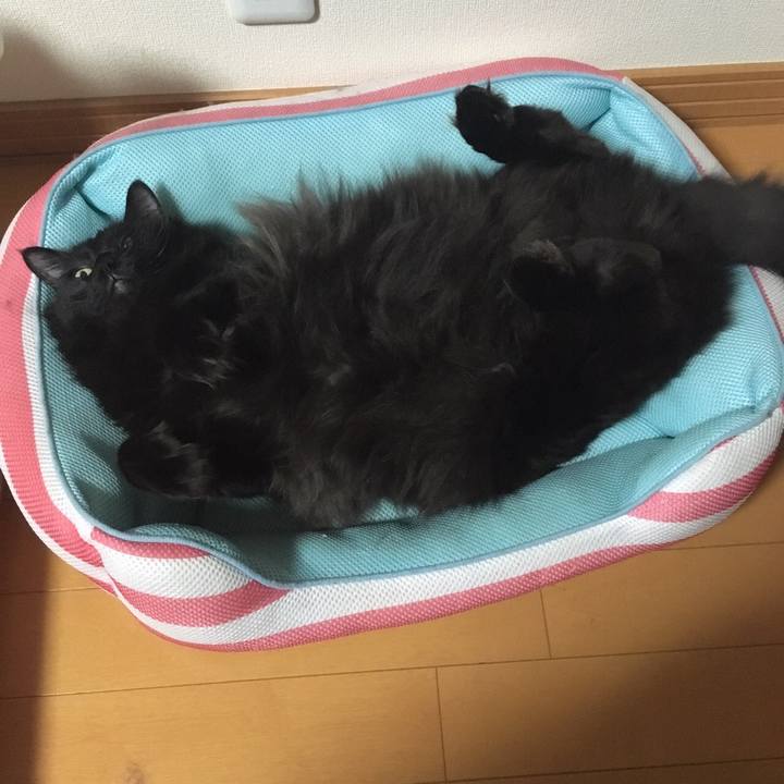 81237540 5575 47d2 9356 0a0bbdae97fc 1510651385447