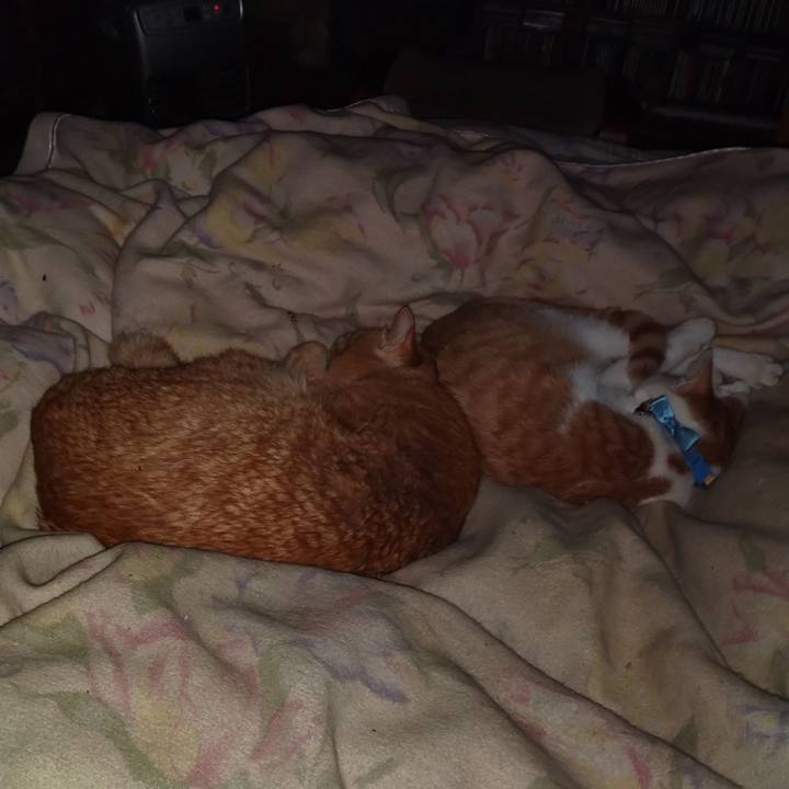 81237829 116c 4993 8b94 66ac45bfe74d 1737393762166