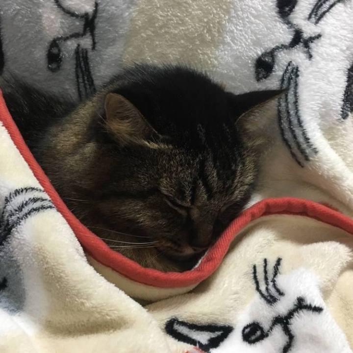 812399e0 4c5e 4973 becc f86466e0112b 1766705006932