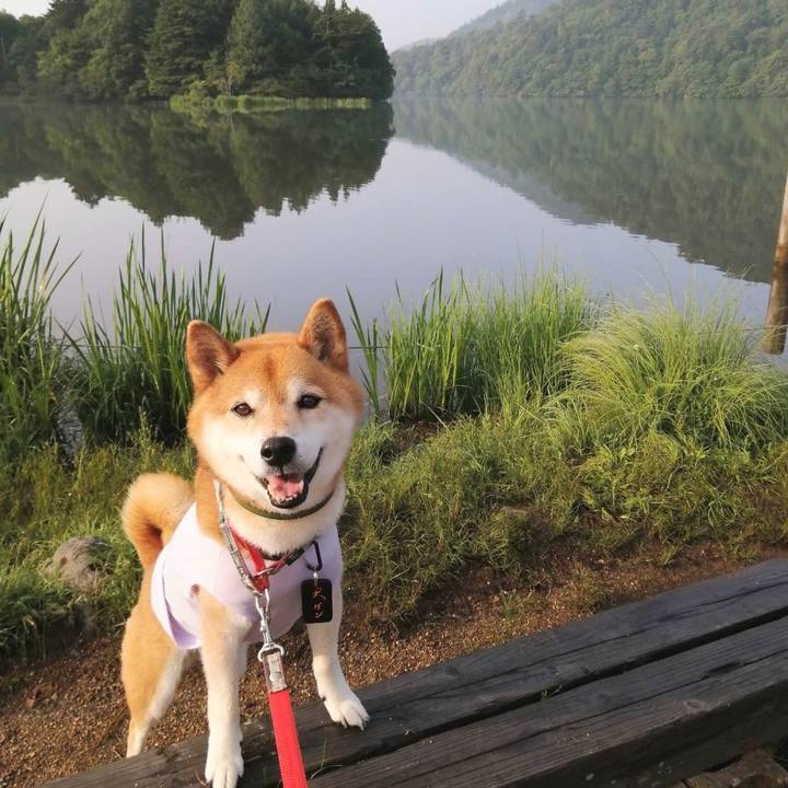 81239b39 7a0f 41b9 a5bb 5ad2d311fe52 1752099172062