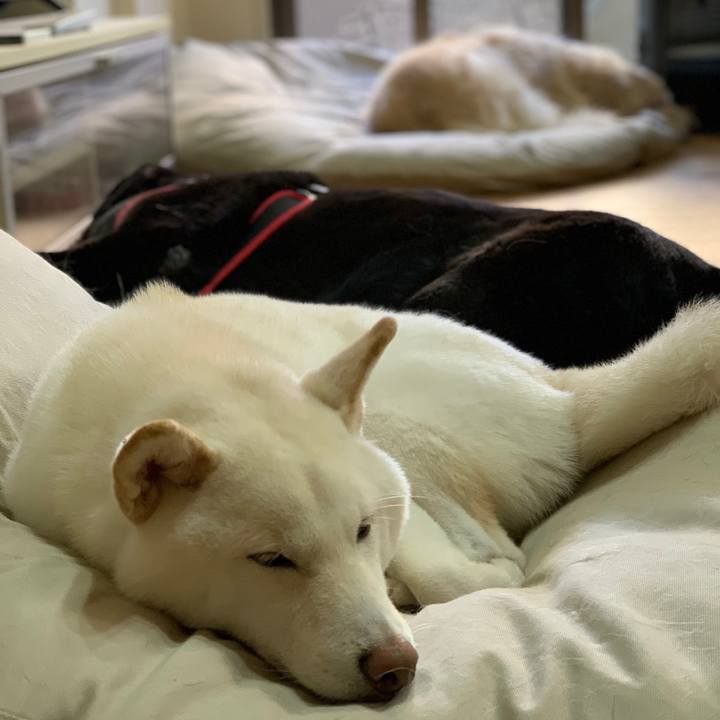 8123b0d5 dfa1 4830 8b95 a677fd09db4f 1572390458689