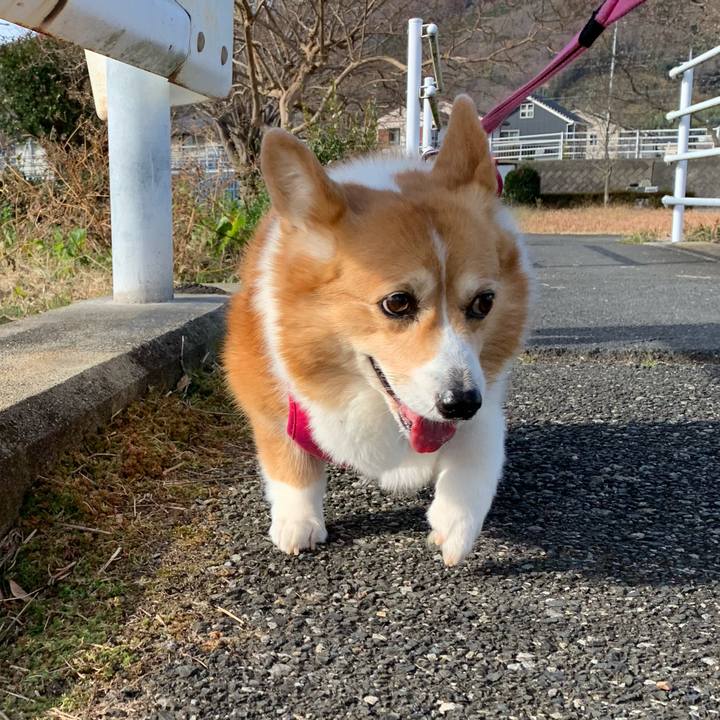 8123cb49 e4e2 48b5 93a0 c3c5d7ce00de 1703036520000