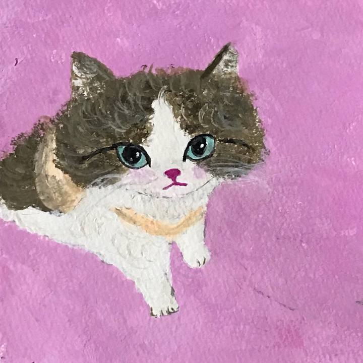 8123d2f8 bb56 4c40 afaa 5023bc3c2de2 1658420033880