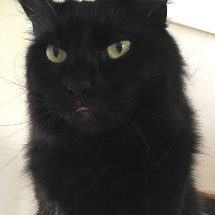 812426e1 f590 4ed2 b211 ebadc5e1f725 1531204068198