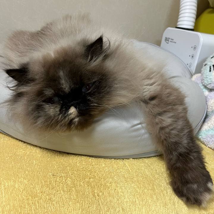 81243f3d 747f 4a02 89e4 5c7d103a0ea0 1711540347899