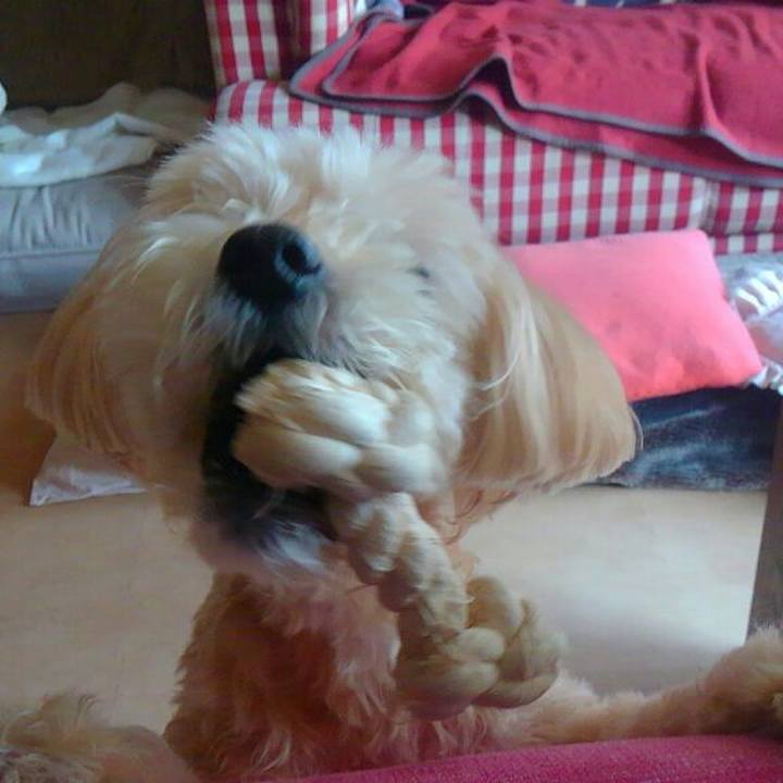 812451a7 b913 44e8 ac96 81f88277c68d 1522337671584