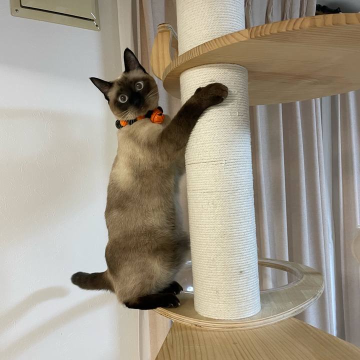 8124e2fa a0ca 4cee a66c cc524828c4e1 1727468046570