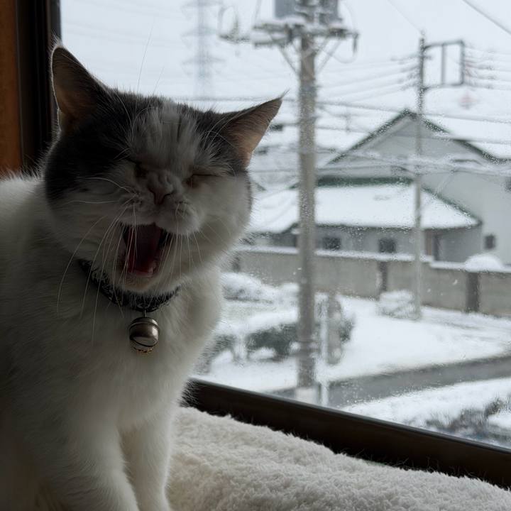 8124edb2 dce3 43fc b2bf d5626e4aa02c 1770514239732