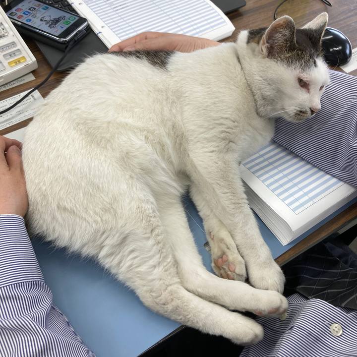 8124f45d 3a48 4a96 874f 42d24e8026da 1619074233160