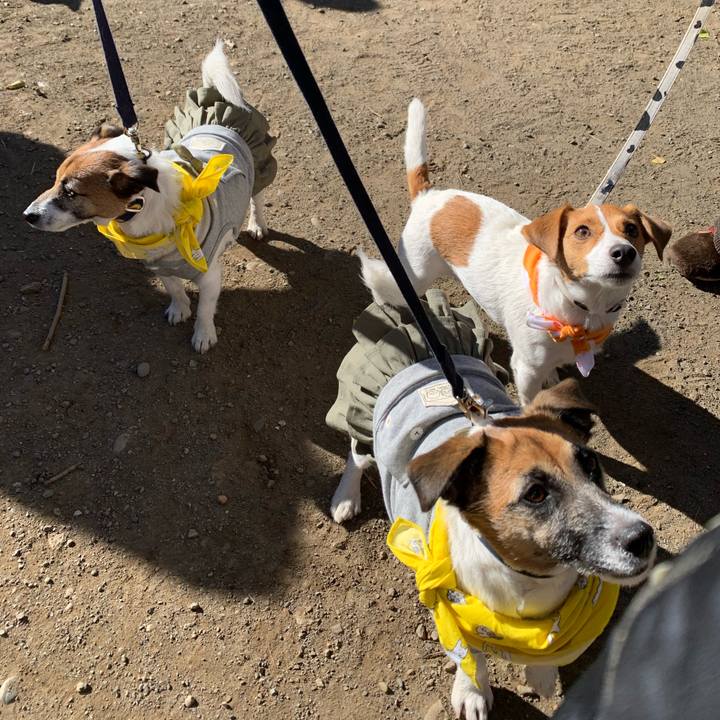 81251996 ca30 4515 b471 83753e6b39bf 1606568448184