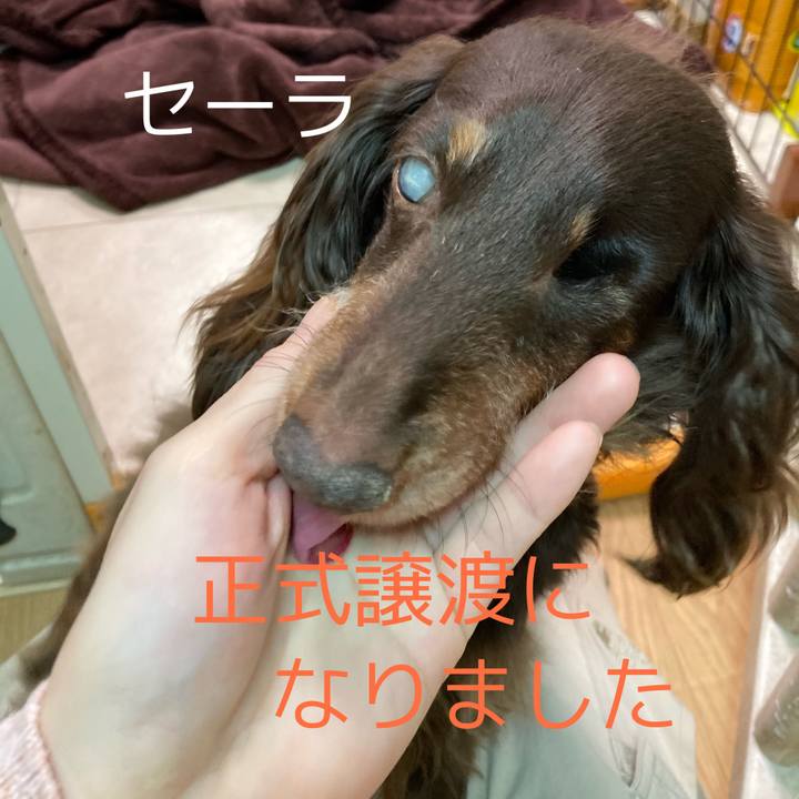 81253664 ecb7 4bf8 a1ba 67955af84ee4 1621848689472