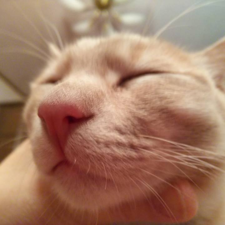 8125367f c059 4cc5 a205 b657d225270c 1545951937339