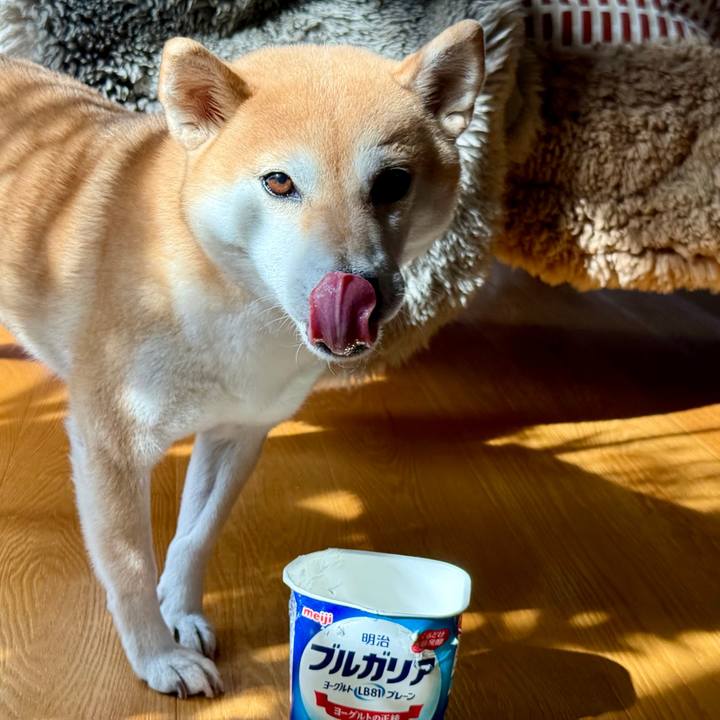 81254374 ae1c 4ff1 ae3e 6557a3551da6 1764122491851