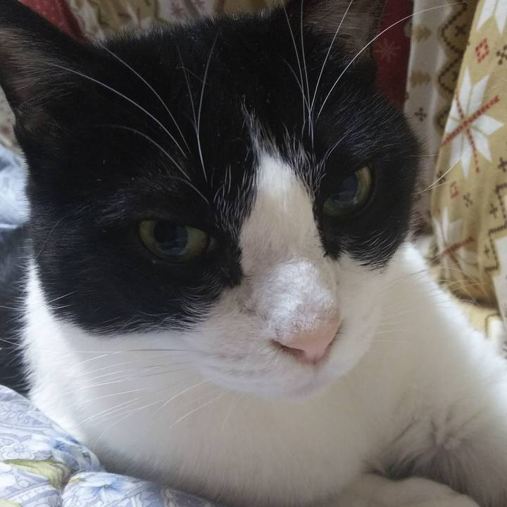 81255b4c ada6 42d9 b29e d98621d79488 1547498614681