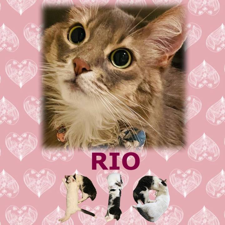 81255cb8 c2d1 48c5 9b94 3823179b0688 1668587649773