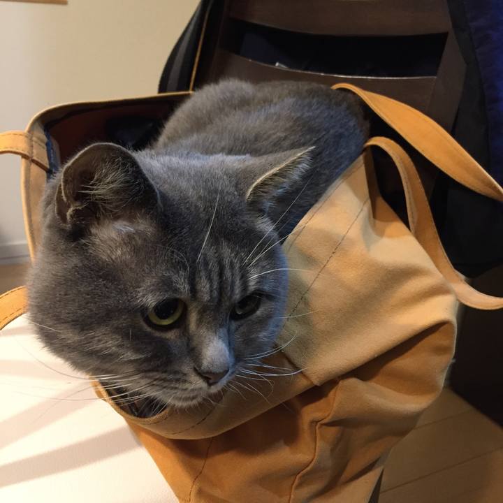 81255e6d 572f 4ad6 975c 38dd57e930eb 1508028275714