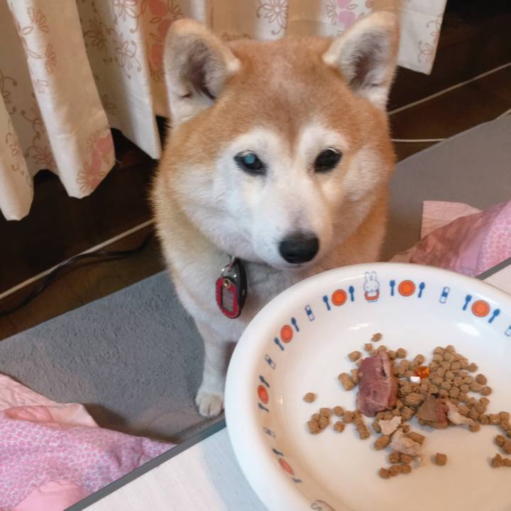 81256bff 6e5d 4fd5 9c65 618067499151 1558792389225