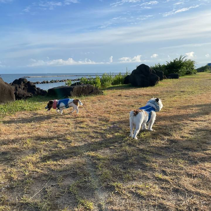 81258c59 32db 4f85 8e19 14424527e0b3 1691796730803