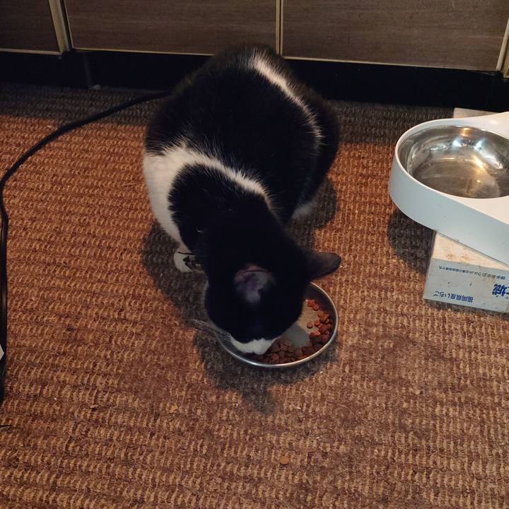 8125b93b 8e5a 4e32 b0e6 80d86c2a1d18 1761528569067