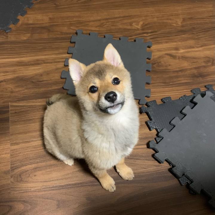 8125ba46 e0c8 424a bc1c c44af5f4c1f1 1618408086335