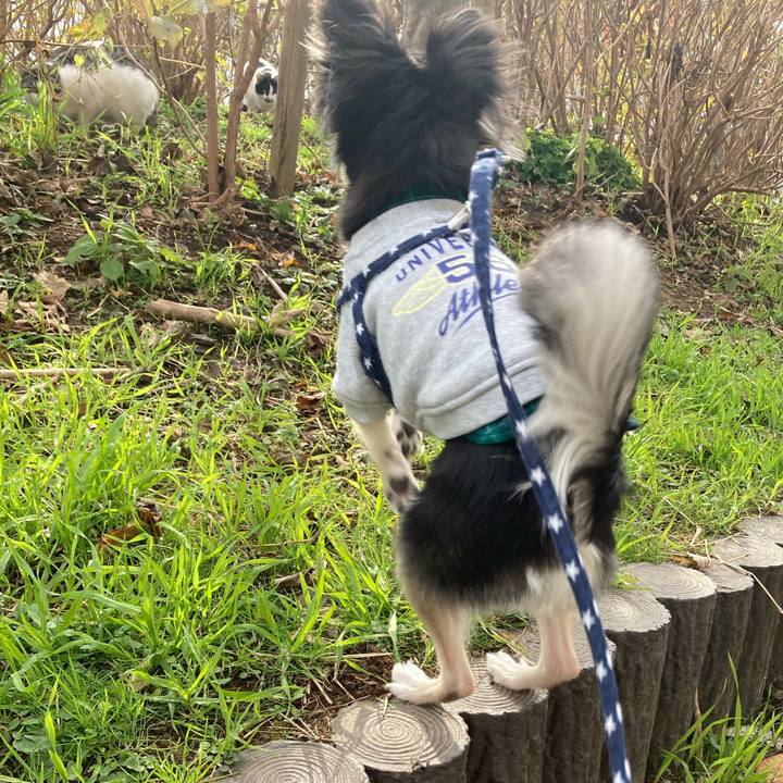 8125cad3 adb5 4fca aff7 e1b525fdb8d6 1639281267478