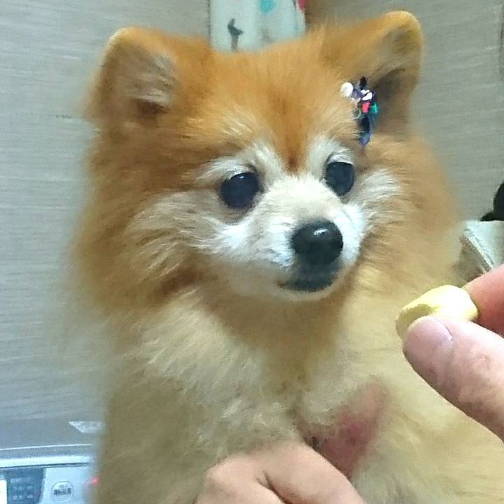 8125cb4f edb0 4f01 bc4e fe2ba1a16aa8 1511017518670