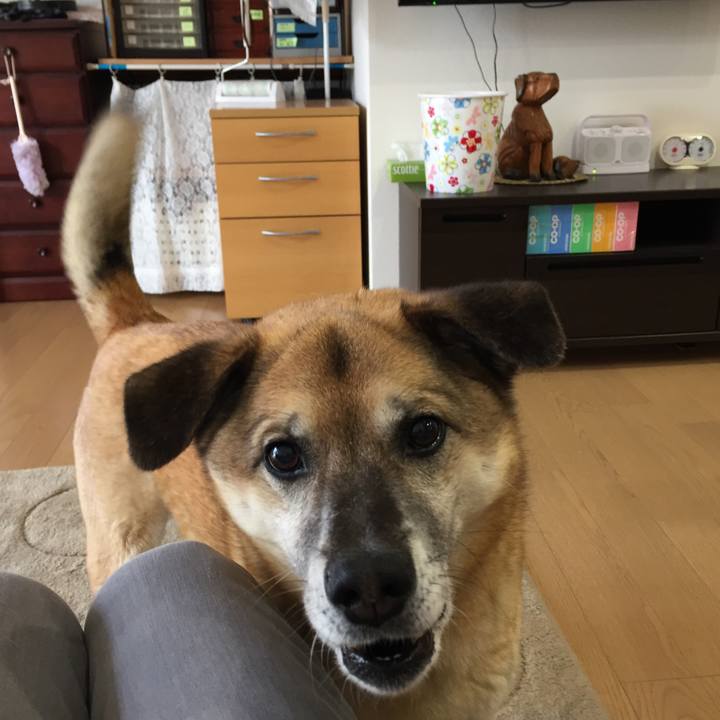 8125cb8a 6ab1 4fe4 a67f 4f2164349b94 1524699083909