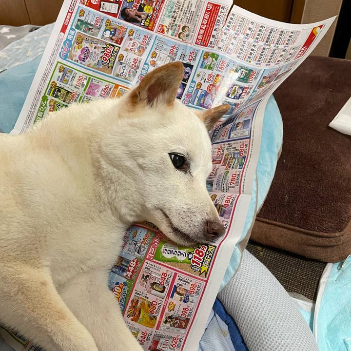 8125d6ef 98d9 4d75 9e52 a47be35b36cb 1656126912694