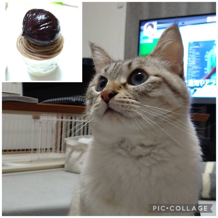 8125e205 aec9 4716 ade9 0e8027003abe 1668950641354