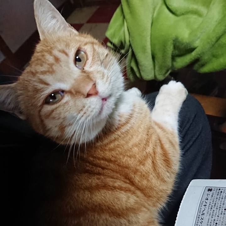 81261e26 a8e4 47d4 a044 627c51129eed 1583444414793